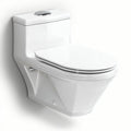 One-piece elongated white toilet with dual flush system 70 x 40 x 40cm